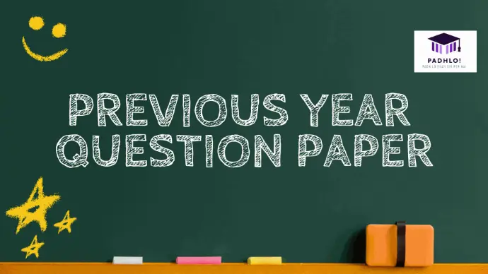 Previous Year Question paper (2024-2025)