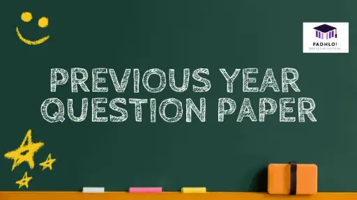 Previous Year Question paper (2024-2025)